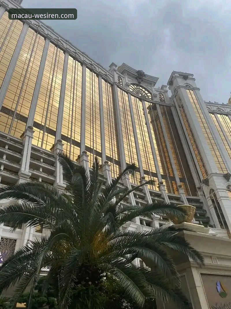 资深用户分享：在澳门威斯人官网见证宁忠岩破纪录夺金的震撼体验